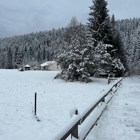 Willa Bambetli Tatarów Zewnętrze zdjęcie